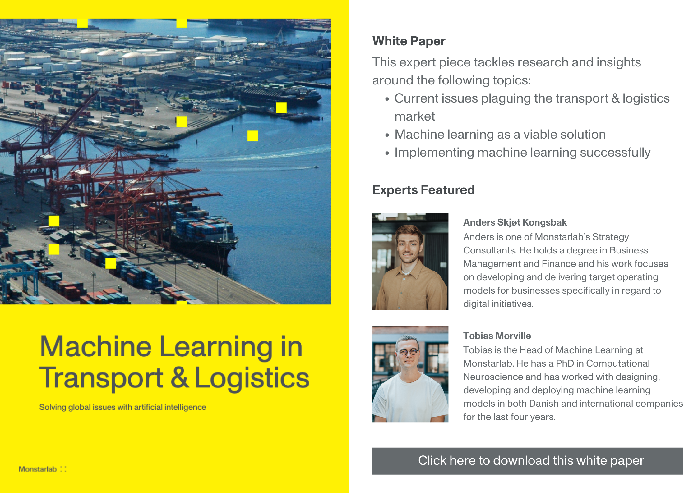 Machine Learning in Transport & Logistics White Paper